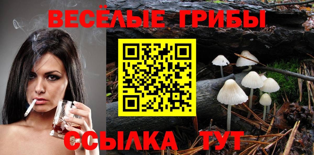 Псилоцибиновые грибы Magic Shrooms Ессентуки