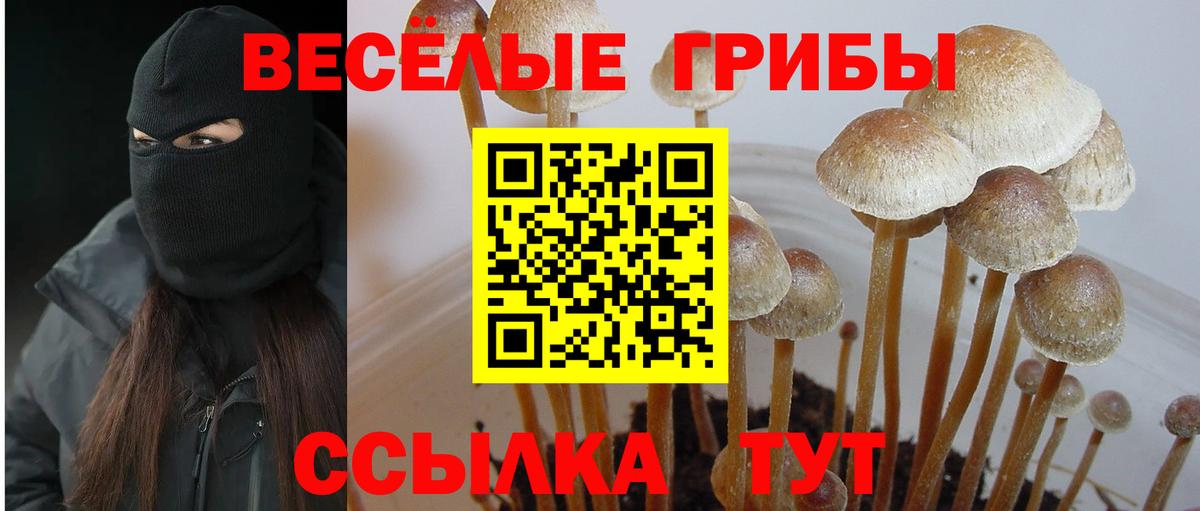Ессентуки  Галлюциногенные грибы Psilocybe  Псилоцибиновые грибы мухоморы  купить закладку  Вход с VPN 